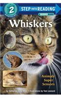 Whiskers: Animals' Super Sensors