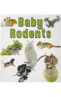 Baby Rodents