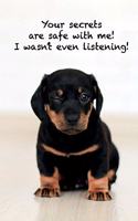 Funny cheeky Dachshund Notebook 111 pages
