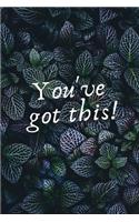 You've Got This!: Wide lined notebook and journal for entrepreneurs and goal-orientated people