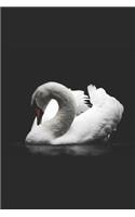 Celtic Swan Notebook: College Ruled Lined Paper