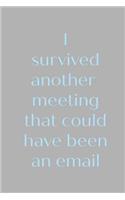 I survived another meeting that could have been an email