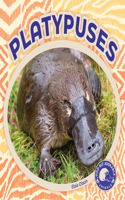 Platypuses: (Odd But Adorable Animals)
