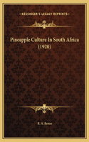 Pineapple Culture In South Africa (1920)