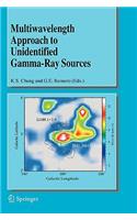 Multiwavelength Approach to Unidentified Gamma-Ray Sources