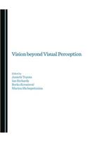 Vision beyond Visual Perception
