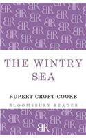 The Wintry Sea