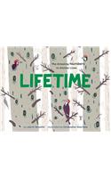 Lifetime