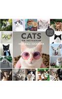 Cats on Instagram 2020 Wall Calendar