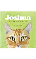 Joshua the Rescue Kitty
