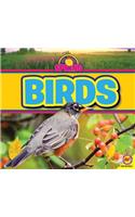 Birds