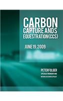 Carbon Capture and Sequestration (CCS)