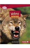 Wolves on the Hunt