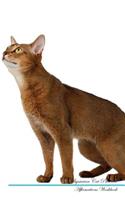 Abyssinian Cat Affirmations Workbook Abyssinian Cat Presents: Positive and Loving Affirmations Workbook. Includes: Mentoring Questions, Guidance, Supporting You.