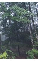 Journal Fog Woods Forest: (Notebook, Diary, Blank Book)(Nature Photo Journals Notebooks Diaries)