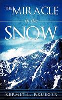 Miracle in the Snow