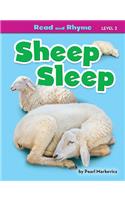 Sheep Sleep