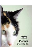 2020 Planner Notebook: Calico Cat Planner Book With Monthly and Weekly Calendars, Monthly Budget Sheet and Weekly Meal Plan