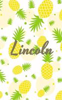 Lincoln