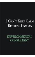 I cant Keep Calm because I am an Environmental Consultant: Writing careers journals and notebook. A way towards enhancement