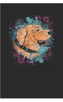 Labrador Color Splatter