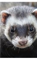 The Ferret Face Journal: 150 page lined notebook/diary
