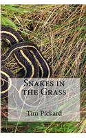Snakes in the Grass