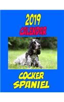 2019 Calendar Cocker Spaniel: Dog Calendar, password log, notes, to do list and more