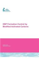 Dbp Formation Control by Modified Activated Carbons