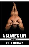 Slave's Life