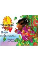 Marvelous World of Shapes