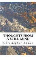 Thoughts From a Still Mind