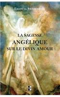 La Sagesse Angélique sur le Divin Amour