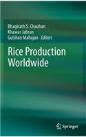 Rice Production Worldwide