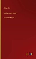 Wallensteins Antlitz