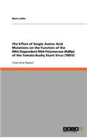 The Effect of Single Amino Acid Mutations on the Function of the RNA-Dependent RNA Polymerase (RdRp) of the Tomato Bushy Stunt Virus (TBSV)