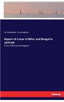 Report of a tour in Bihar and Bengal in 1879-80