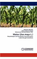 Maize (Zea mays L.)