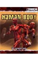 Human Body