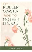 My Roller Coaster Ride To Motherhood