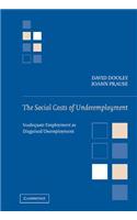 Social Costs of Underemployment