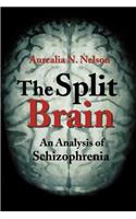 The Split Brain
