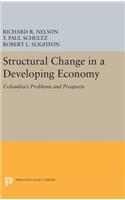 Structural Change in a Developing Economy