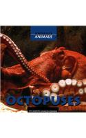 Octopuses: (Animals, Animals)