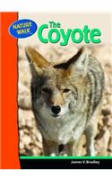 The Coyote: (Nature Walk)