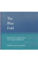 Blue Fold