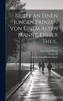 Briefe an einen jungen Prinzen von einem alten Manne. Erster Theil.