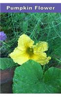 Pumpkin Flower