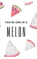 Notebook: You are one in a melon: Gift ideas for teacher/thank you gift/retirement/colleague leaving gift/End of School Year Gift