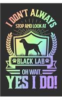 I Don't Always Stop and Look At Black Lab OH Wait, Yes I Do!